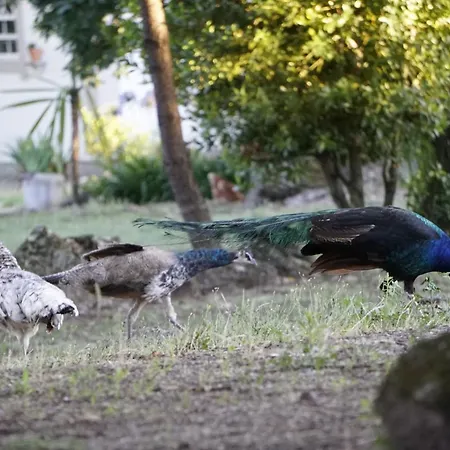 Suíte espaçosa a 4 min do centro Pensión *